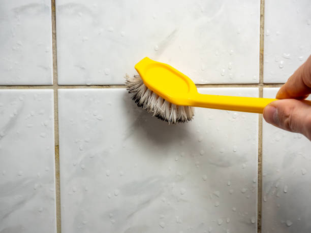 Best Residential Mold Remediation in Bayou Vista, TX