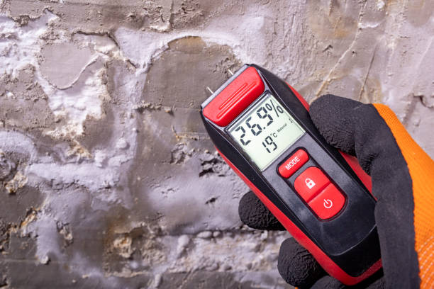 Bayou Vista, TX Mold Remediation Company